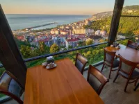 E.S.S Sarı Köşk Otel Çayeli otelleri