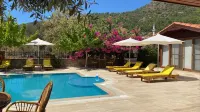 Mesudiye Apart - piscina