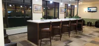 Clearwater Suite Hotel - bar