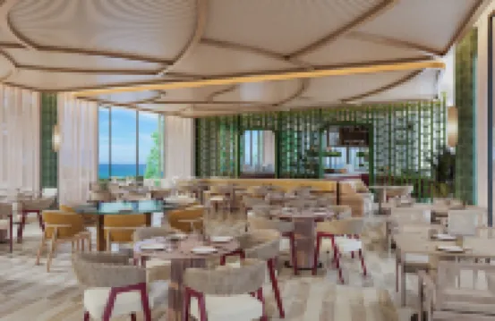 NALU Latchi Leonardo Limited Edition