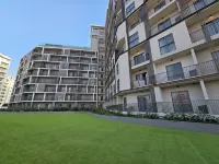 Loxwood House - Rooftop Pools