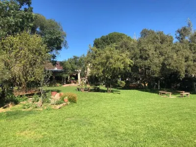 Mizpah Lodge Hotels in 