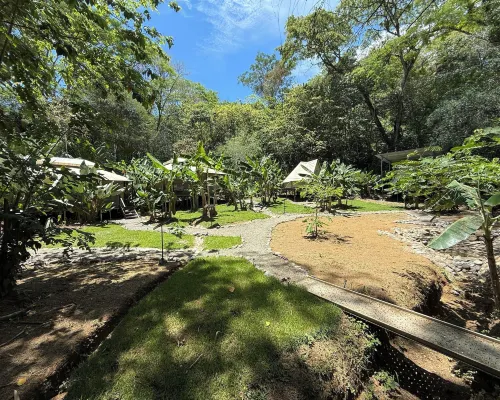 Kritajna Safari Resort Hotels in Savegre
