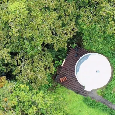 Epifita, Bosque Nuboso Glamping Monteverde