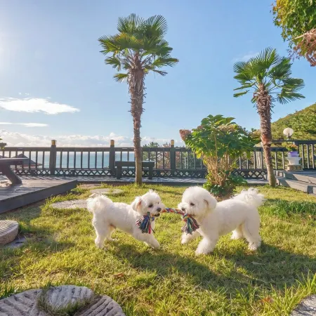 Geoje Yeoul Pet-Friendly Pension Отели рядом с достопримечательностью «Скала Синсондэ»