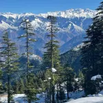 Deodar Manor