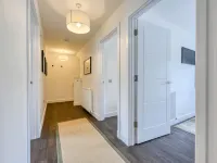 Craigmonie Apartment - Homestays
