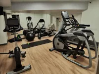 Hôtel Mercure Épinal Centre - Gym