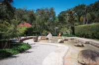 Unique Garden