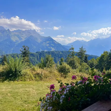 Chalet RoyAlp Hotel and Spa