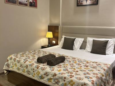 Luxury Stay for Solo Couple Triple Near Pari Chowk Expo Mart for up 4 guests