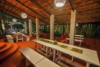 Kohka Wilderness Camp - Pet Friendly
