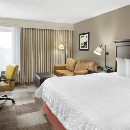 Hampton Inn Dallas/Irving-Las Colinas