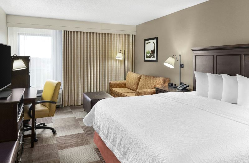 Hampton Inn Dallas/Irving-Las Colinas
