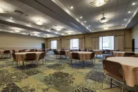 Hampton Inn & Suites Denver Littleton - Pet friendly