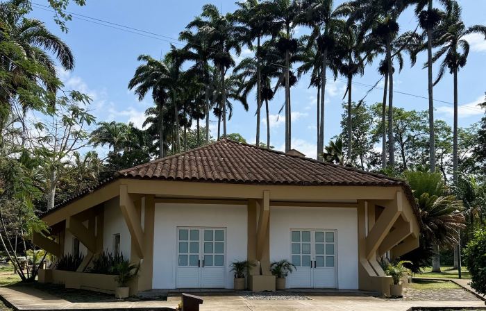 Hotel Las Palmeras
