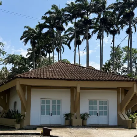 Hotel Las Palmeras