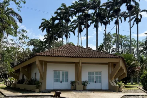 Hotel Las Palmeras - balcon