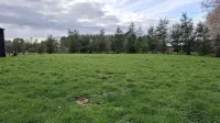 Country House - Meadow View near Frutillar - 2つ星