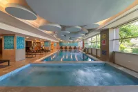 DoubleTree by Hilton Avanos - Cappadocia - Pools