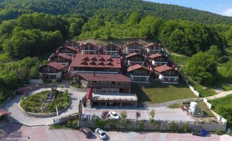 Abant Kartal Yuvasi Hotel