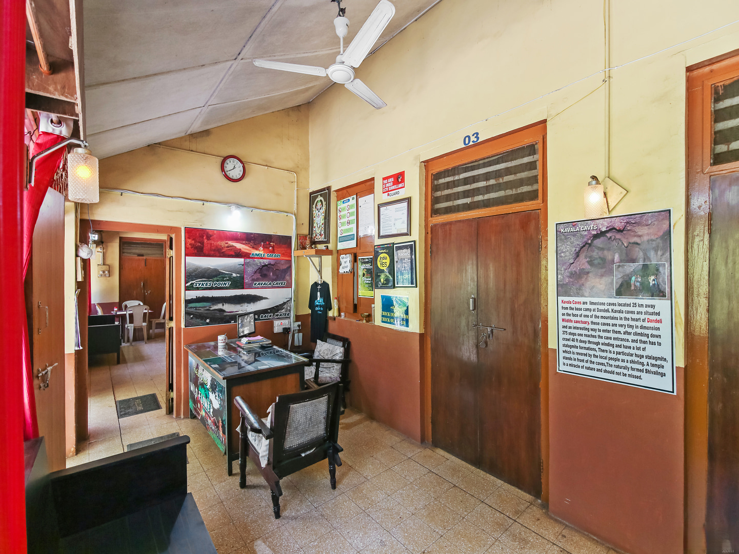 Public Areas Wild Flower Photo