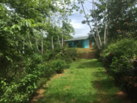 Villa with Primary Forest View