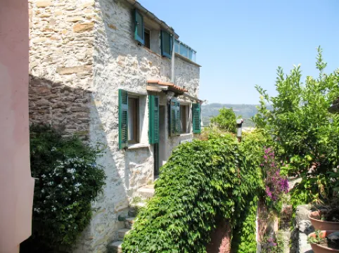 Bella Vista (Dol284)