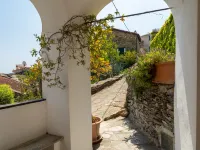 Bellissimi (Dol280)