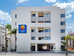 Comfort Inn Tampico