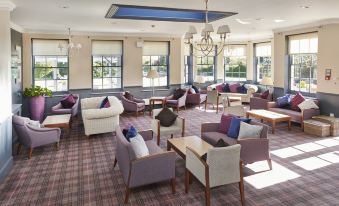 a large , well - lit living room with multiple couches and chairs arranged in an open space at Avisford Park Hotel