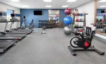 a well - equipped gym with various exercise equipment , including a treadmill , weights , and a stationary bike at Hampton Inn & Suites Bridgeview Chicago