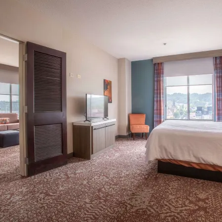 Hilton Garden Inn Mankato Downtown