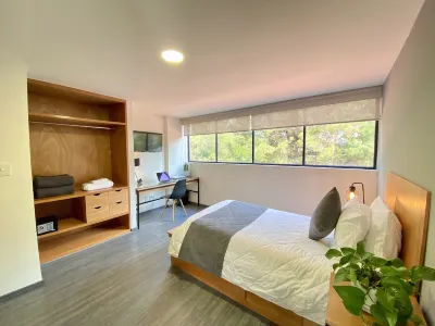 Bonsai Second Home