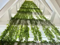 @Marbella 2Bedroom Beachfrom Apt Hotel di Juan Dolio