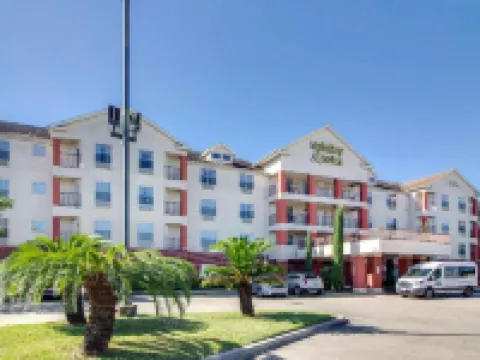 MainStay Suites Texas Medical Center/Reliant Park Hotels near Children's Museum Houston