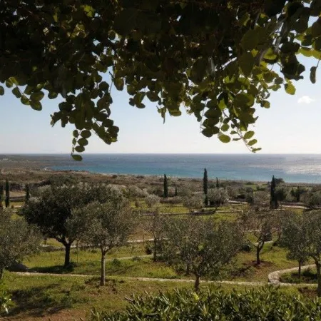 Villa Venus