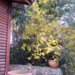 Amirim Atmosphere