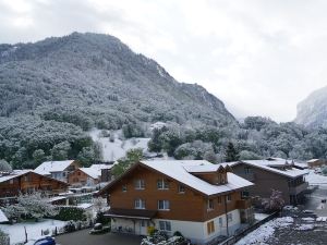 Edelweiss Lodge