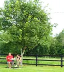 Hazelbrook Killarney