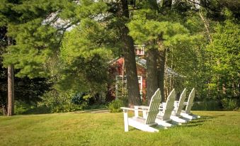 a row of white adirondack chairs is lined up in a grassy area with trees at Snowvillage Inn