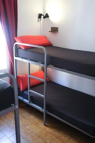 Single Bed in Female 4-Bed Dormitory Room Mana Mana Youth Hostel Photo