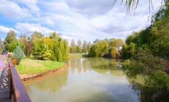 a serene scene of a lake surrounded by trees and grass , with a wooden bridge spanning across the water at Perricoota Vines Retreat