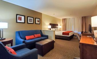 Comfort Inn & Suites Tempe Phoenix Sky Harbor Airport