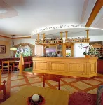 Hotel des Alpes - bar