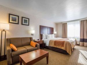 Comfort Inn Elko