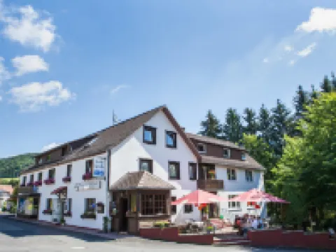 Hotel Berghof Wasserkuppe & Gästehaus Fuldaquelle Hotels in Gersfeld
