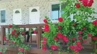 Nonsan Wild Flower Pension Hotels in Nonsan-si