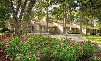 a residential area with a group of houses surrounded by trees and bushes , creating a picturesque scene at Club Wyndham Resort at Fairfield Bay