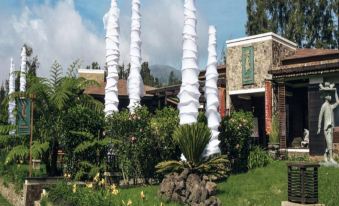 Jiwa Jawa Resort Bromo 객실 이미지